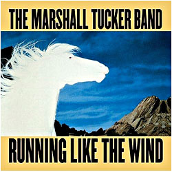 Cover image of Running Like The Wind