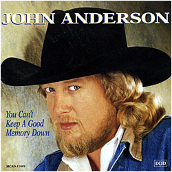 Cover image of You Can't Keep A Good Memory Down