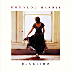 Cover image of Bluebird