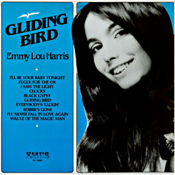 Cover image of Gliding Bird