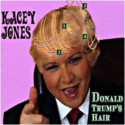 Cover image of Donald Trump's Hair