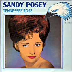 Cover image of Tennessee Rose