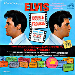 Cover image of Double Trouble