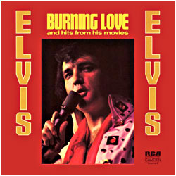 Cover image of Burning Love