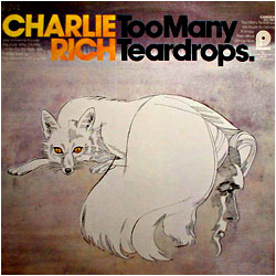 Cover image of Too Many Teardrops