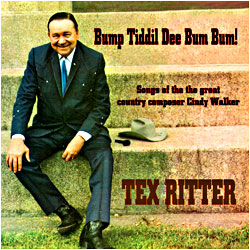 Cover image of Bump Tiddil Dee Bum Bum