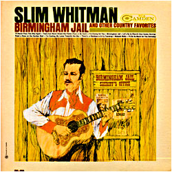 Cover image of Birmingham Jail