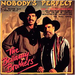 Cover image of Nobody's Perfect