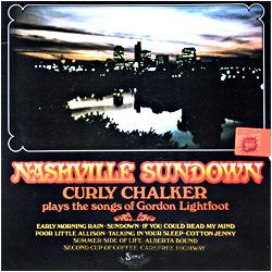 Cover image of Nashville Sundown