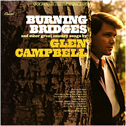 Cover image of Burning Bridges