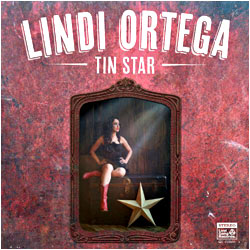 Cover image of Tin Star