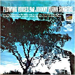 Cover image of Flowing Voices