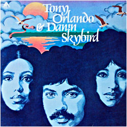 Cover image of Skybird