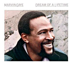 Cover image of Dream Of A Lifetime