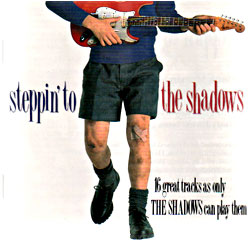 Cover image of Steppin' To The Shadows